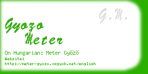 gyozo meter business card