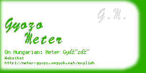 gyozo meter business card